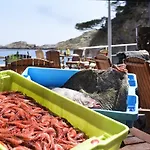 Sa Tuna 3* בגור
